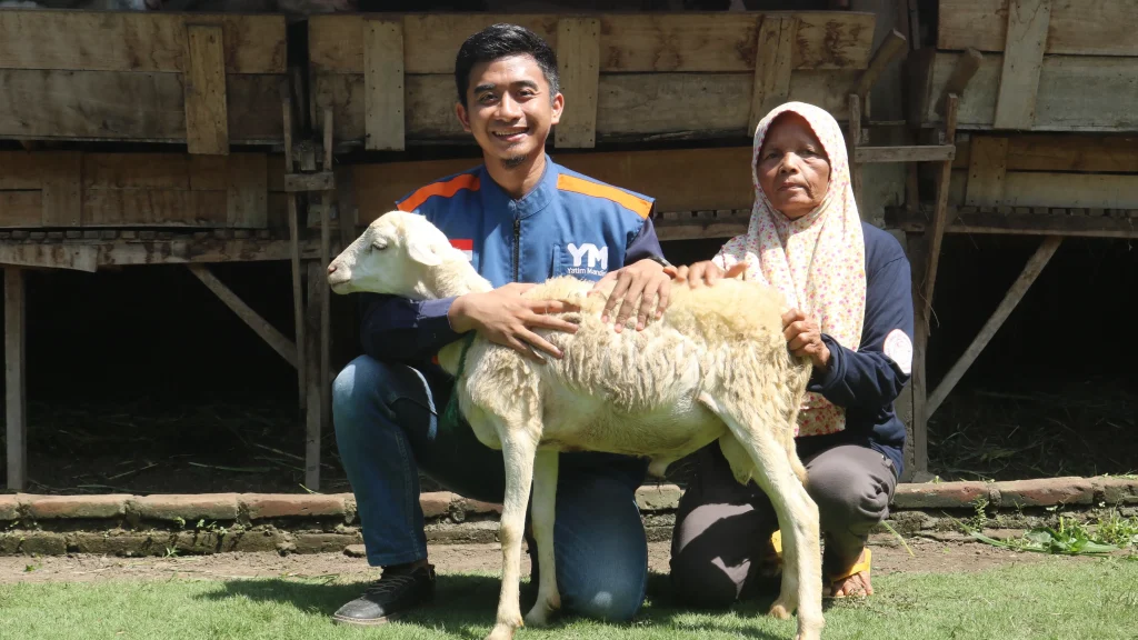 QURBAN YATIM MANDIRI