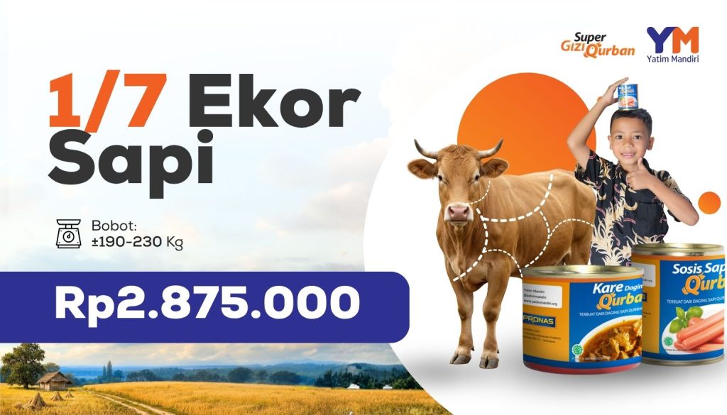 KATALOG BANNER WEBSITE 2026 - 1536 x 877px